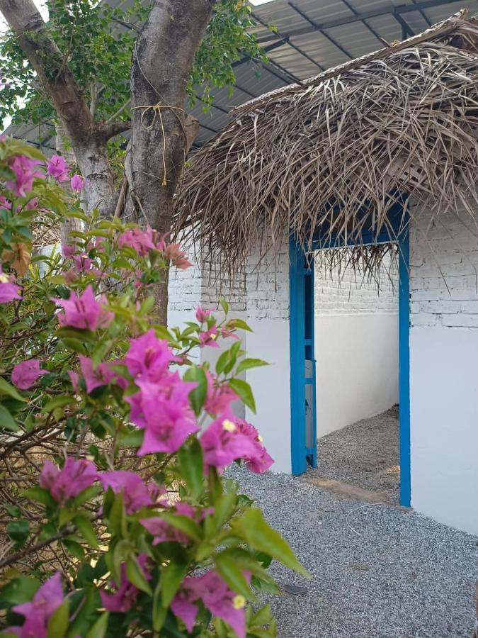 Calaila Hostel Varkala Bagian luar foto